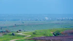 005 videw of the golan heights training plantation